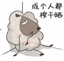 2016最火搞笑视频,笑到肚子疼的搞笑视频大盘点